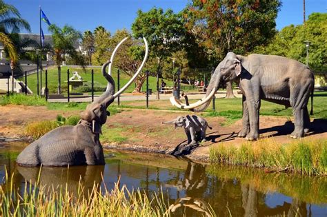 La Brea Tar Pits: Khám Phá Cuộc Sống Cổ Đại Giữa Lòng Los Angeles!