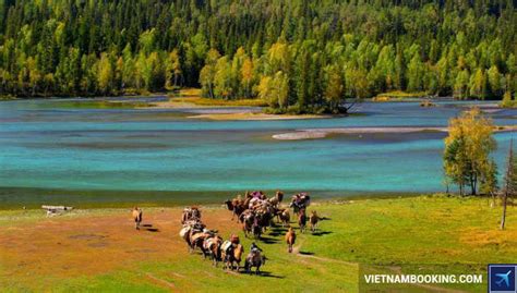  Vườn Bách thảo Urumqi: Thánh địa thiên nhiên và niềm vui bất tận cho mọi lứa tuổi!